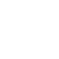 DiPSAVe s.r.o.